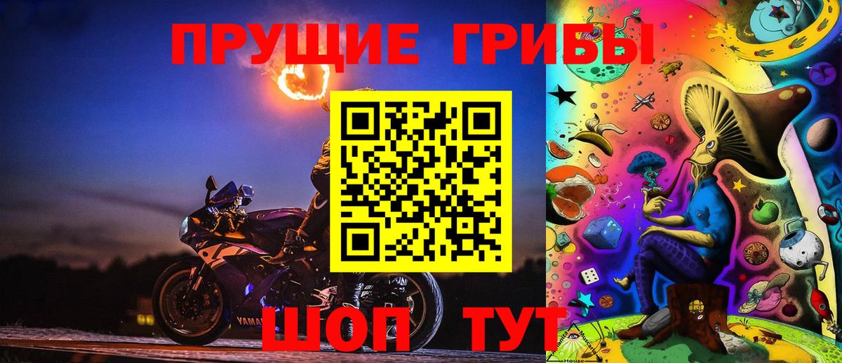 Галлюциногенные грибы Psilocybe Советский
