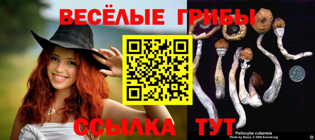 Советский  Псилоцибиновые грибы прущие грибы  Галлюциногенные грибы прущие грибы  Вход с VPN 